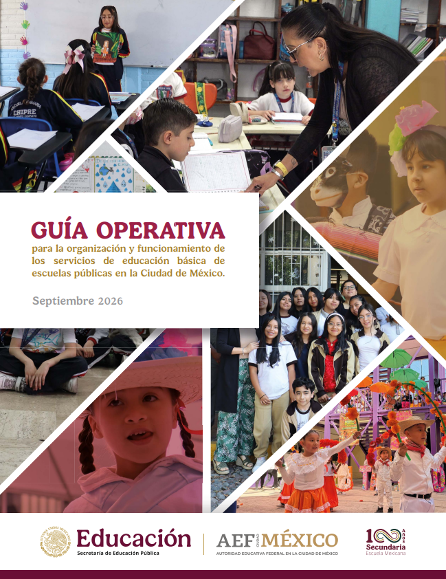 Guía Operativa 2026